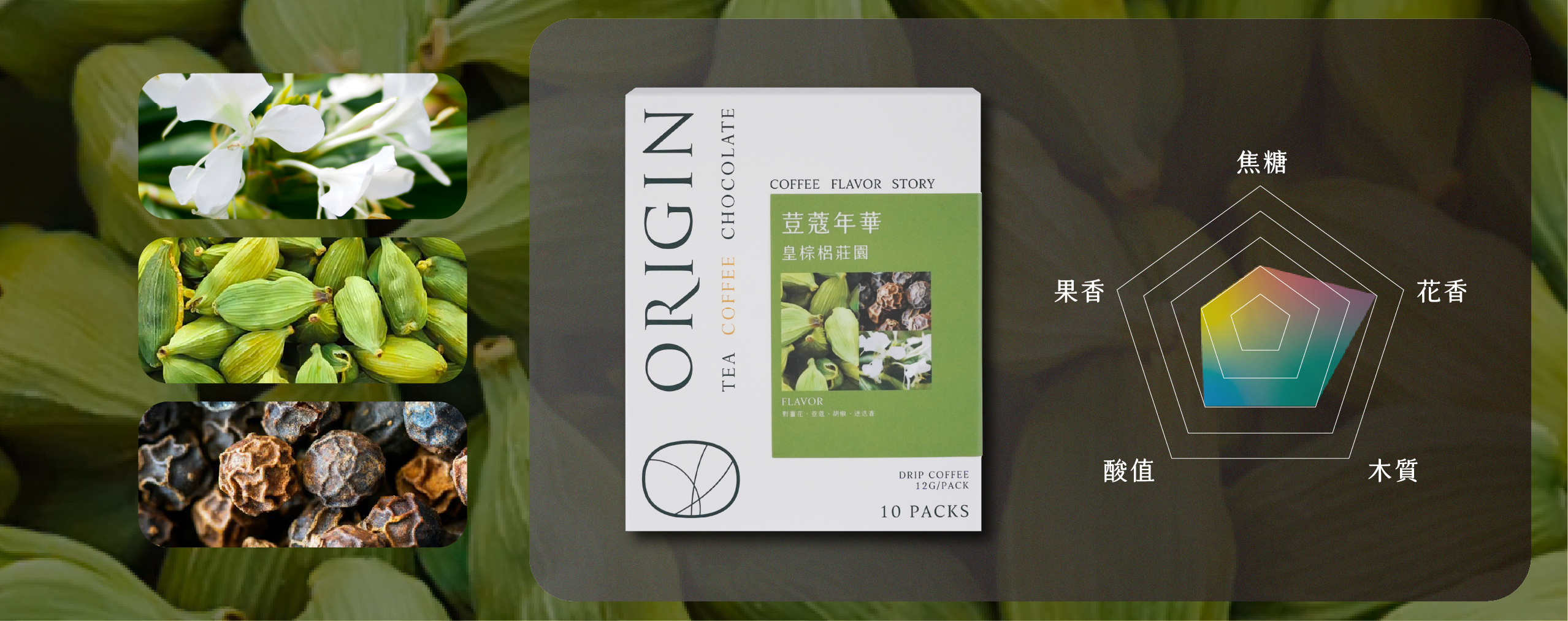 巴西 黃棕梠莊園 荳蔻年華-濾掛包