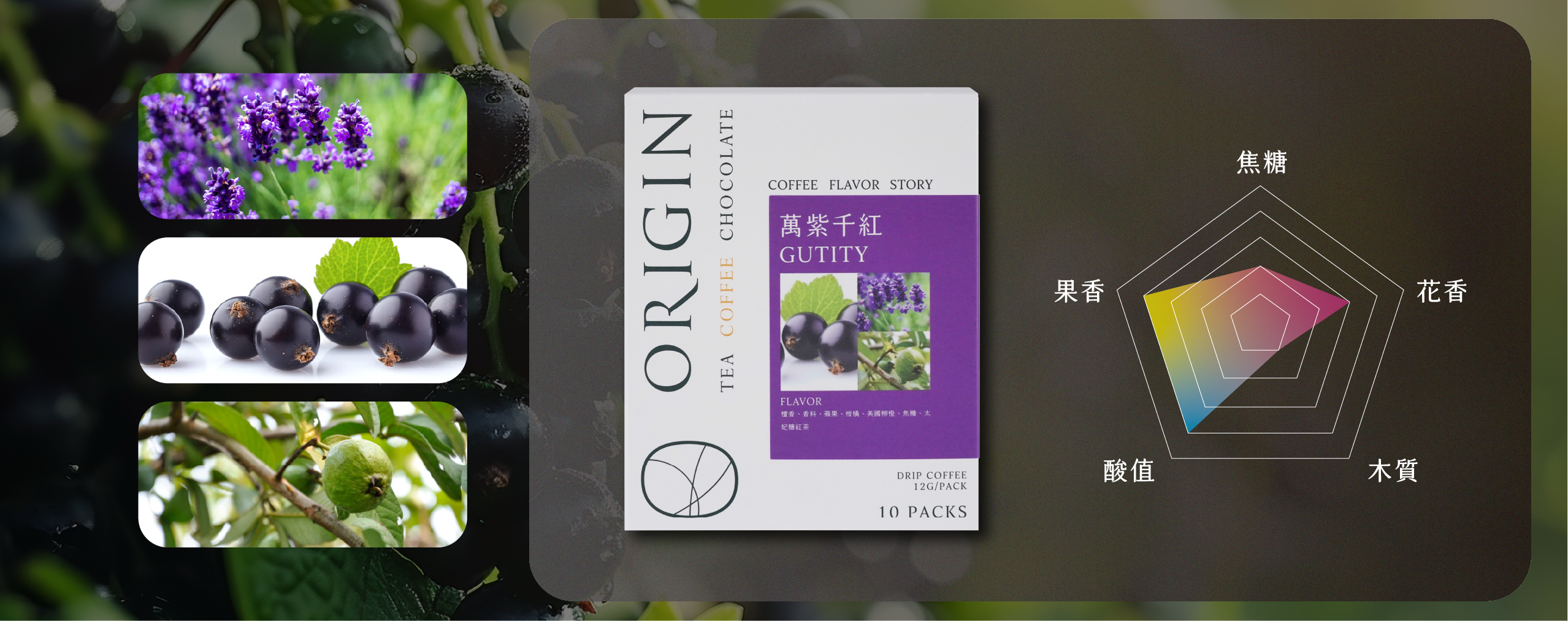 Gutity-萬紫千紅-濾掛包