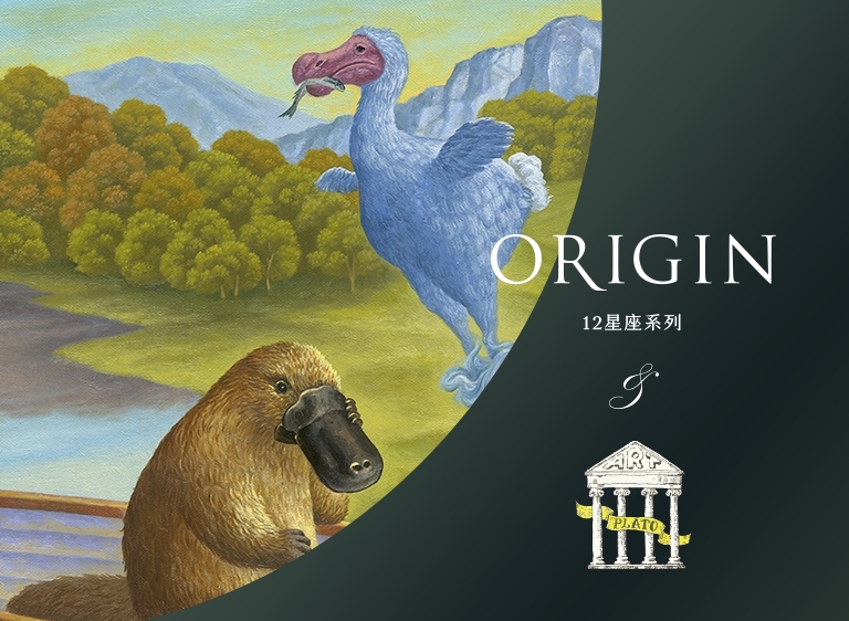 雙魚座 - 70% 大馬士革玫瑰黑巧克力